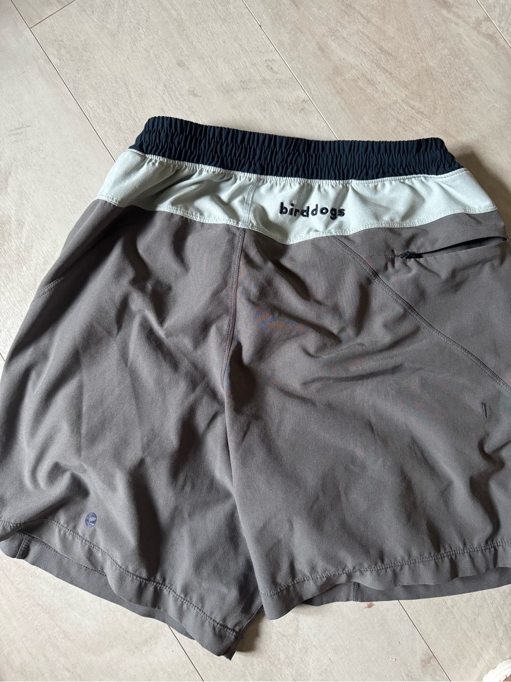 Birddogs Gray Shorts with Blue Waistband and Blue Elastic Trim